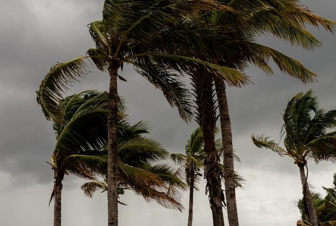mais-da-metade-das-cidades-da-pb-estao-sob-alerta-de-perigo-para-vendaval-de-ate-60km/h