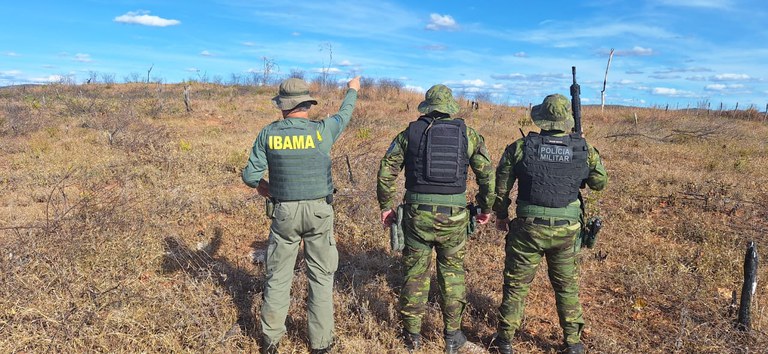 ibama-embarga-993-hectares-e-aplica-mais-de-r$-4-milhoes-em-multas,-na-pb