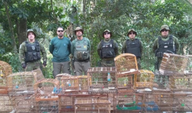 ibama-desmonta-rede-de-trafico-de-animais-e-pesca-ilegal-com-atuacao-na-pb