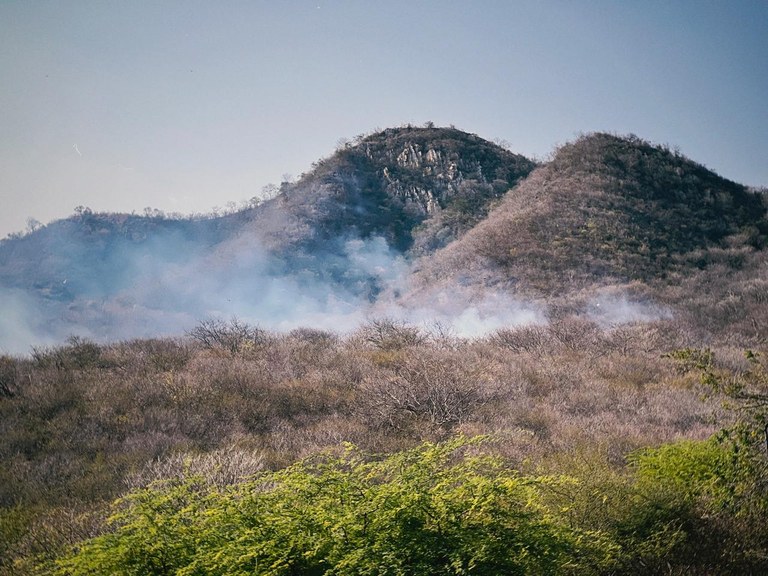 forca-tarefa-controla-incendio-na-serra-do-cruzeiro,-no-sertao-da-paraiba