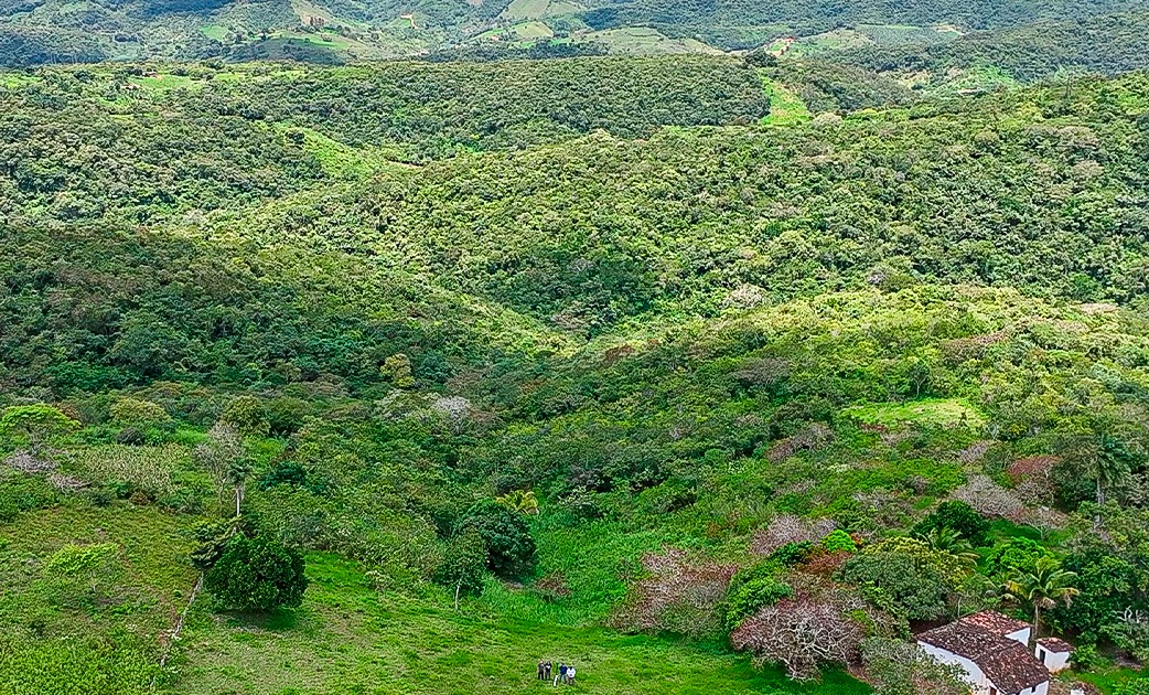 sudema-autua-12-areas-por-desmatamento-de-vegetacao-nativa-na-pb