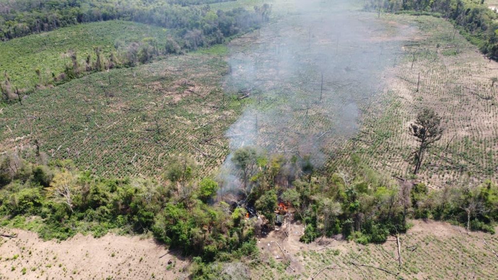 operacao-da-pf-destroi-dezenas-de-hectares-de-plantacao-de-maconha,-na-pb