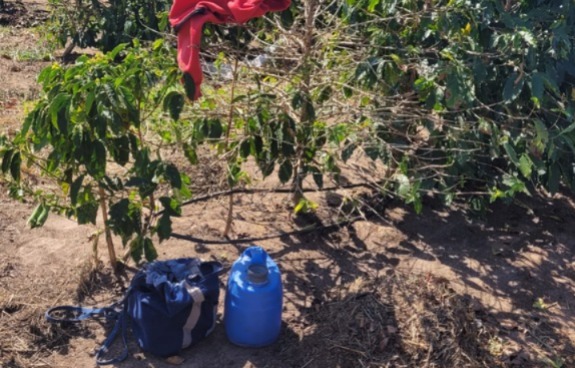 paraibanos-sao-resgatados-em-condicoes-analogas-a-escravidao-em-fazenda-de-sp