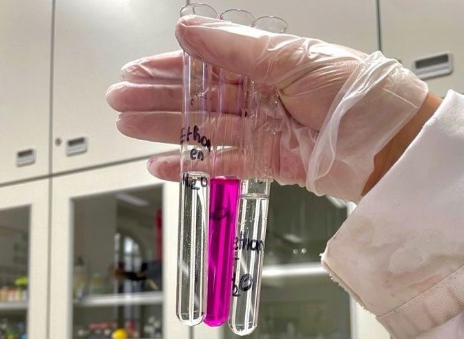 pesquisadores-da-uepb-desenvolvem-metodo-para-detectar-metanol-em-bebidas-e-criam-‘canudo-inteligente’