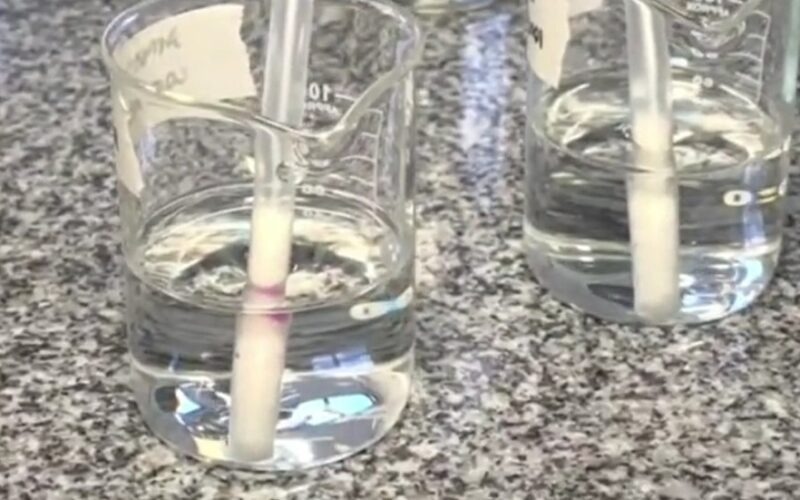 canudo-desenvolvido-pela-uepb-para-detectar-metanol-em-bebidas-entra-em-fase-de-testes