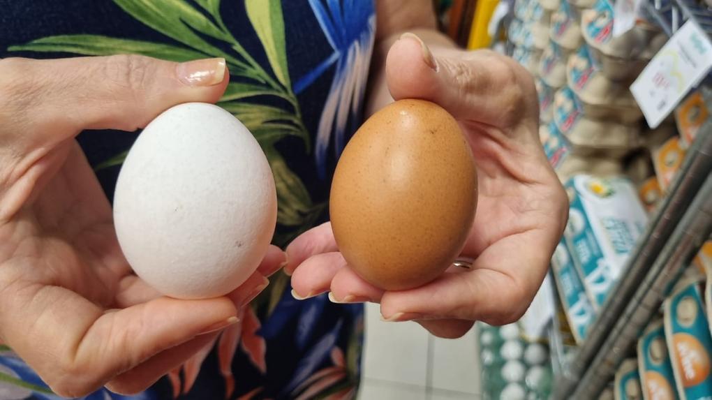 mppb-instaura-2o-inquerito-contra-empresa-por-suspeita-de-fraude-em-rotulos-de-ovos