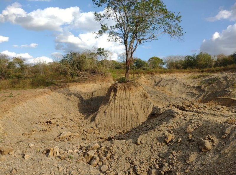 policia-apreende-escavadeiras-e-multa-proprietario-na-pb-por-extracao-irregular-de-areia