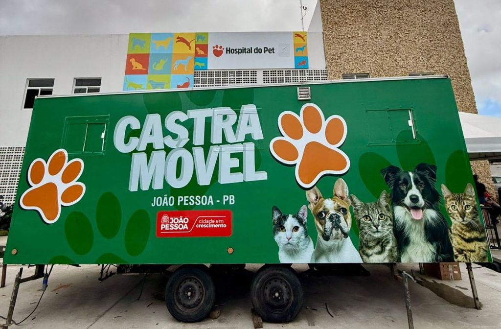 prefeitura-de-joao-pessoa-oferta-100-vagas-para-castracao-de-gatos