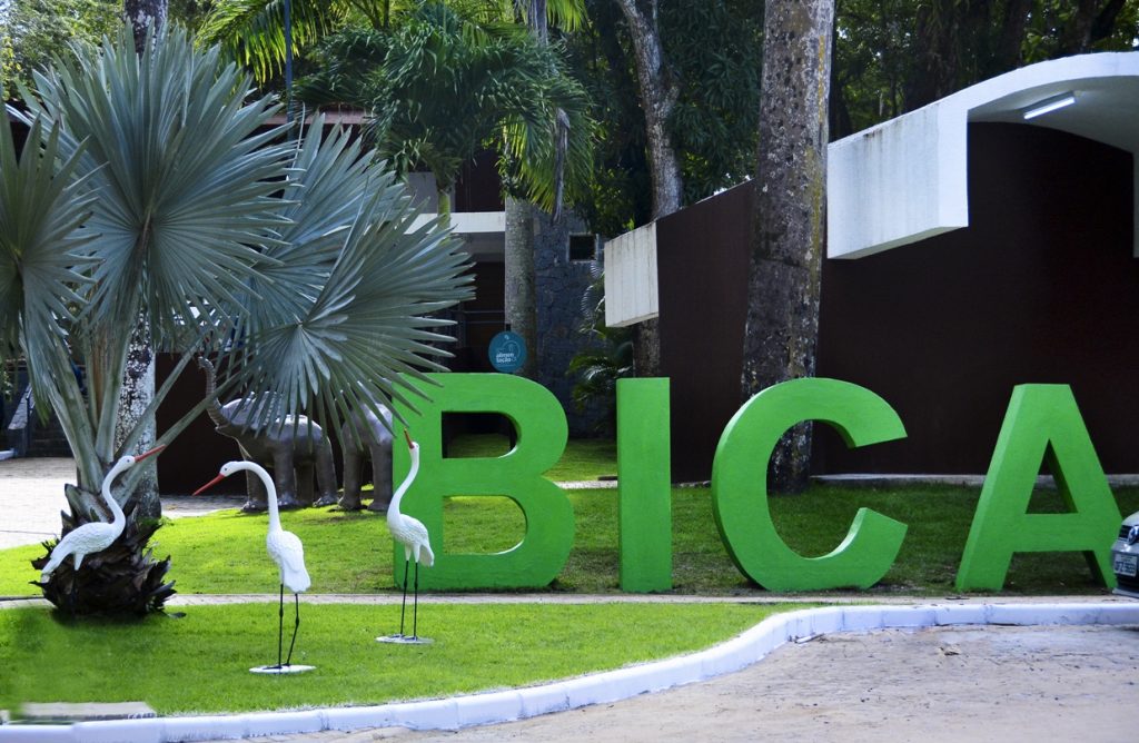 homem-morto-por-leoa-apos-invadir-recinto-na-bica-tinha-transtornos-mentais