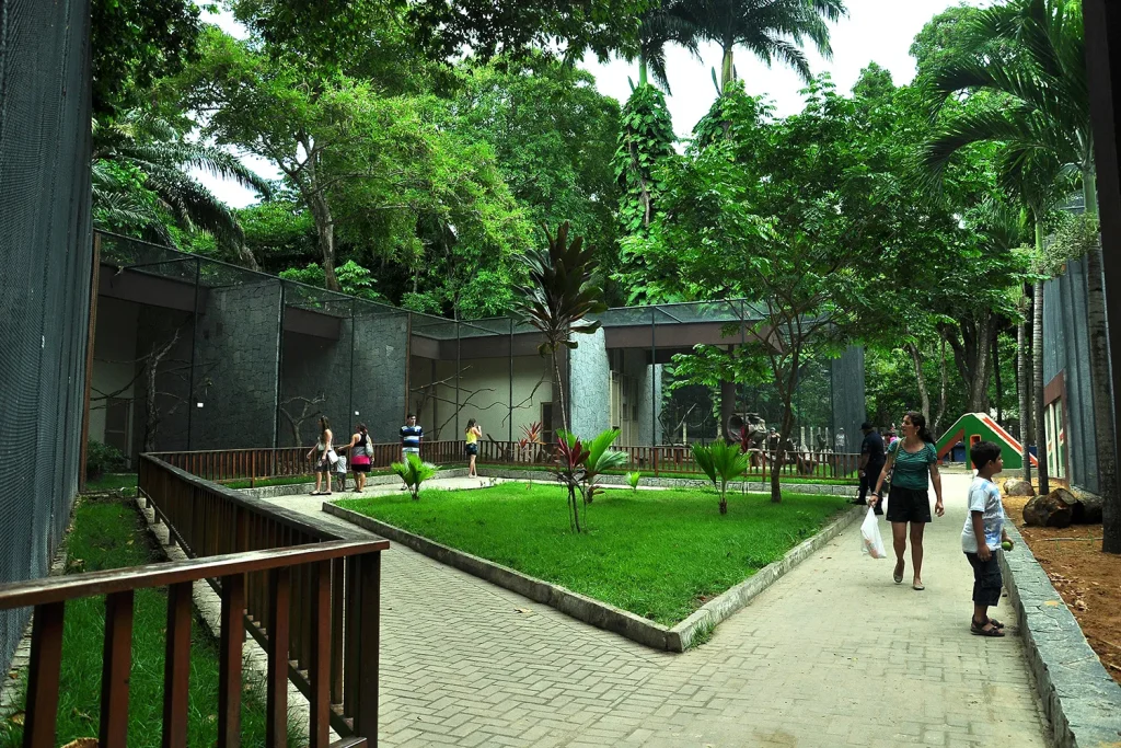 homem-invade-recinto-de-leoa-na-bica-e-morre-apos-ataque,-em-joao-pessoa