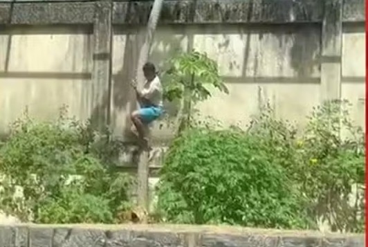 laudo-do-iml-confirma-causa-da-morte-de-jovem-atacado-por-leoa-na-bica