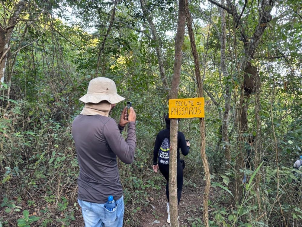 paraiba-e-destaque-nacional-no-turismo-de-observacao-de-aves