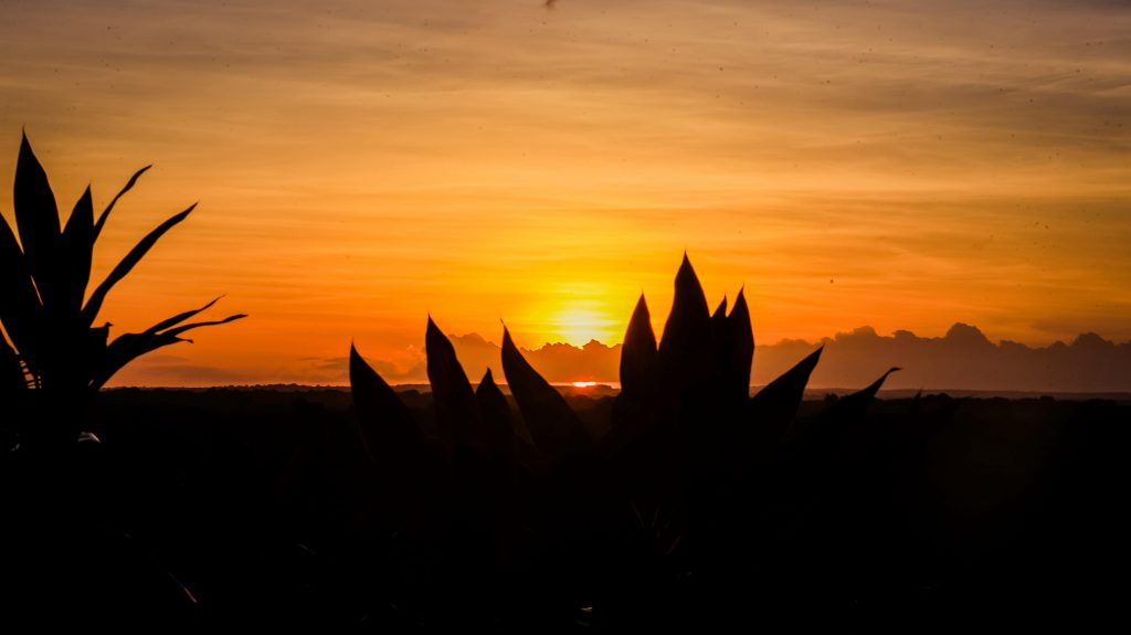 mais-de-110-cidades-da-pb-estao-em-alerta-para-baixa-umidade;-veja-lista