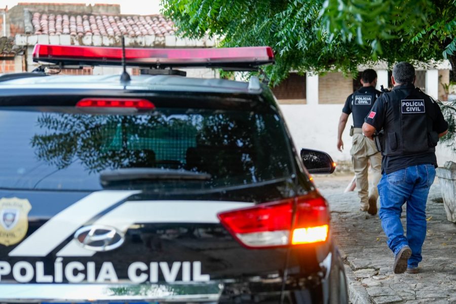 policia-civil-realiza-prisao-em-flagrante-de-homem-que-matou-cachorro-a-pauladas