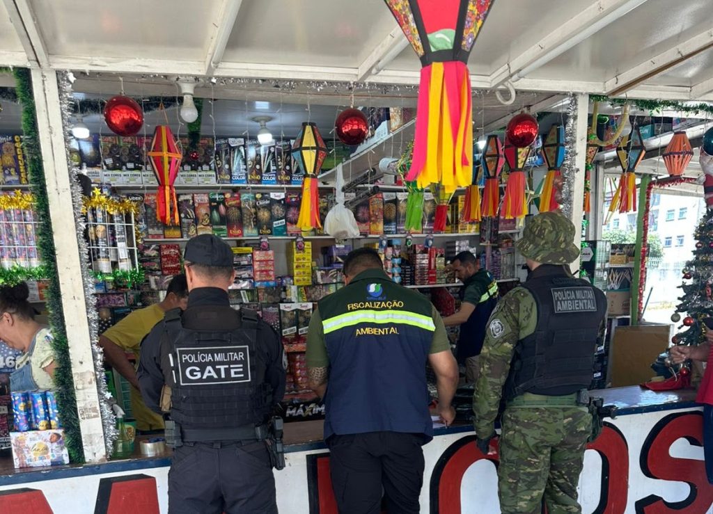 operacao-autua-oito-estabelecimentos-por-venda-irregular-de-fogos-para-o-reveillon,-na-pb