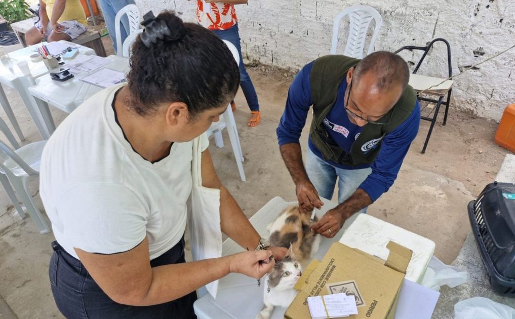 bairros-de-jp-recebem-atendimento-veterinario-itinerante-a-partir-desta-semana