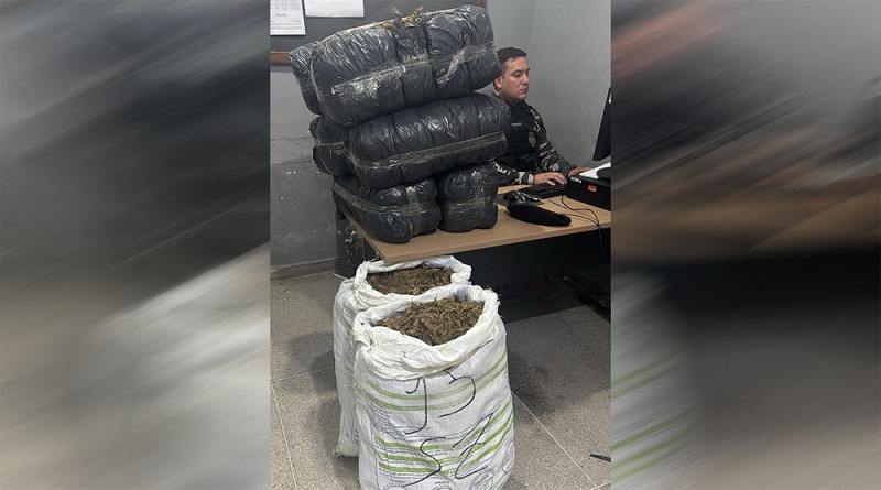 pm-apreende-63-kg-de-maconha-apos-troca-de-tiros-na-pb