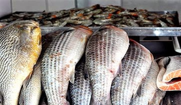 semana-santa:-procon-jp-encontra-diferenca-de-ate-r$-79-em-pescados