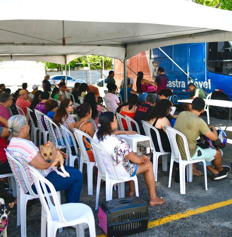 paraiba-pet-realiza-acao-de-castracao-no-bairro-jose-americo,-em-joao-pessoa