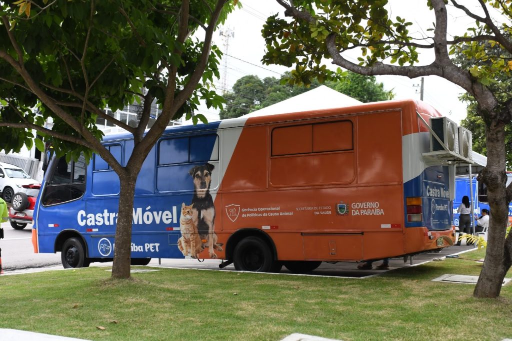 paraiba-pet-amplia-acoes-de-castracoes-no-bairro-do-geisel,-em-joao-pessoa