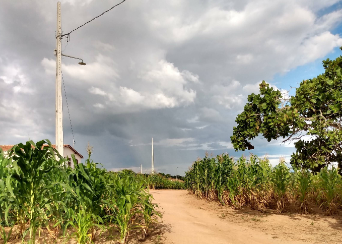 dono-de-sitios-e-alvo-do-mppb-por-desmatar-ilegalmente-quase-5-hectares,-em-picui