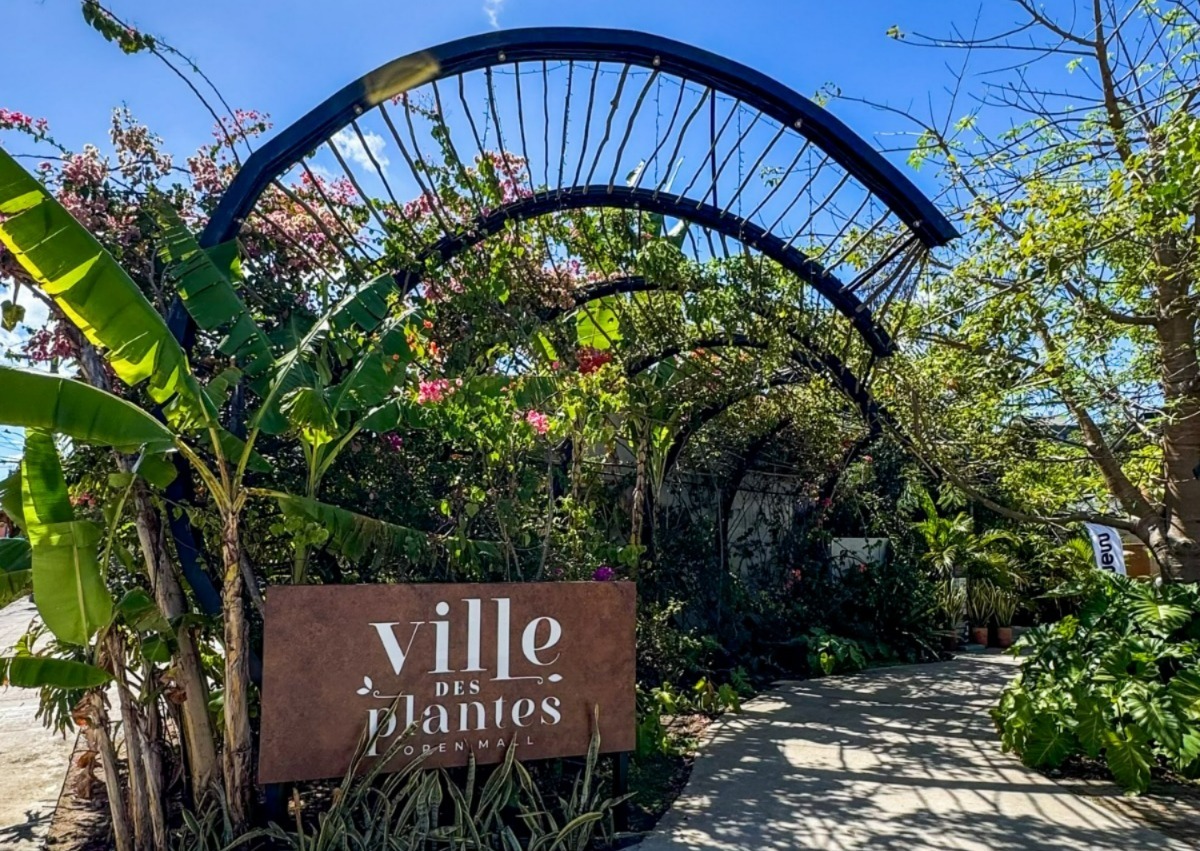 mostra-feira-das-pulgas-movimenta-o-ville-des-plantes-neste-final-de-semana