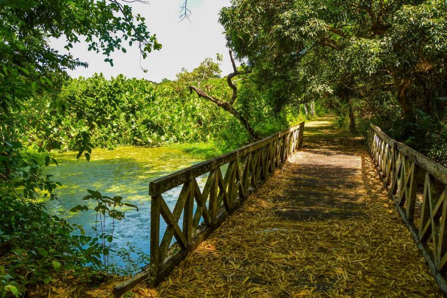 jardim-botanico-e-vale-dos-dinossauros-anunciam-horarios-especiais-para-visitacao