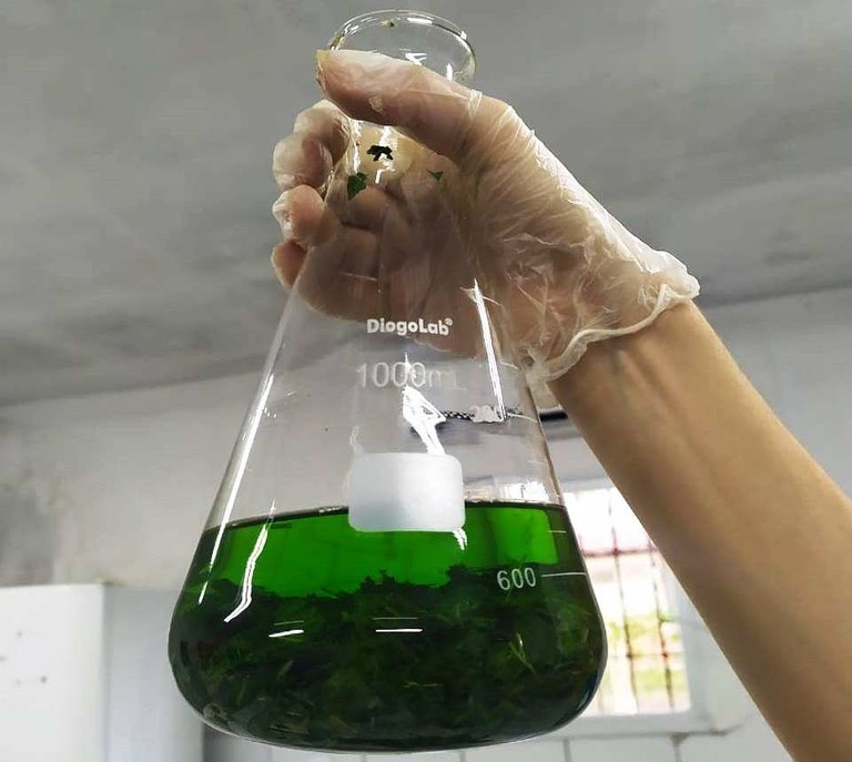 fapesq:-divulgado-resultado-de-edital-para-apoio-a-pesquisa-cientifica,-tecnologia-e-inovacao