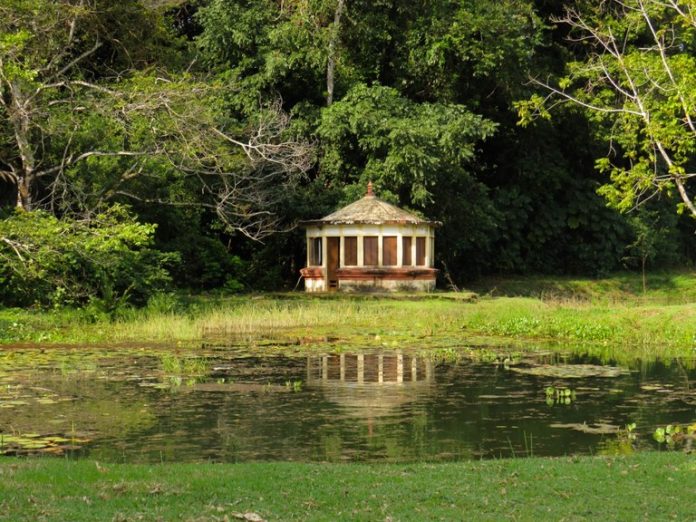 jardim-botanico-e-vale-dos-dinossauros-divulgam-programacao-para-feriado-de-5-de-agosto