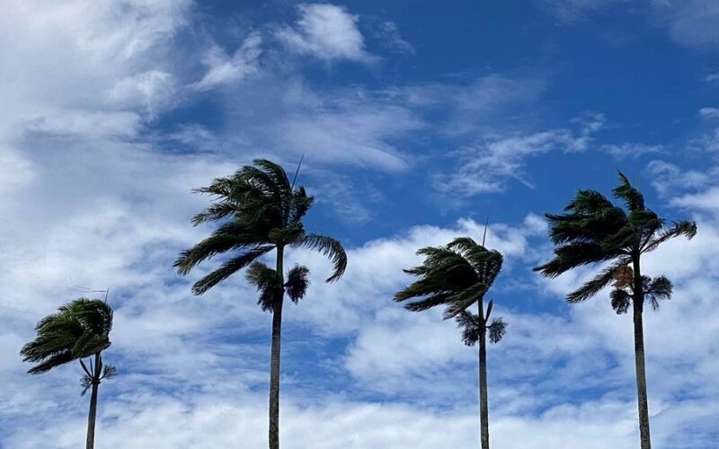 inmet-emite-alerta-de-vendaval-para-todos-os-223-municipios-da-paraiba-neste-sabado
