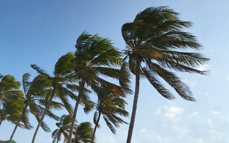 alerta-de-vendaval-e-renovado-para-todas-as-cidades-da-paraiba