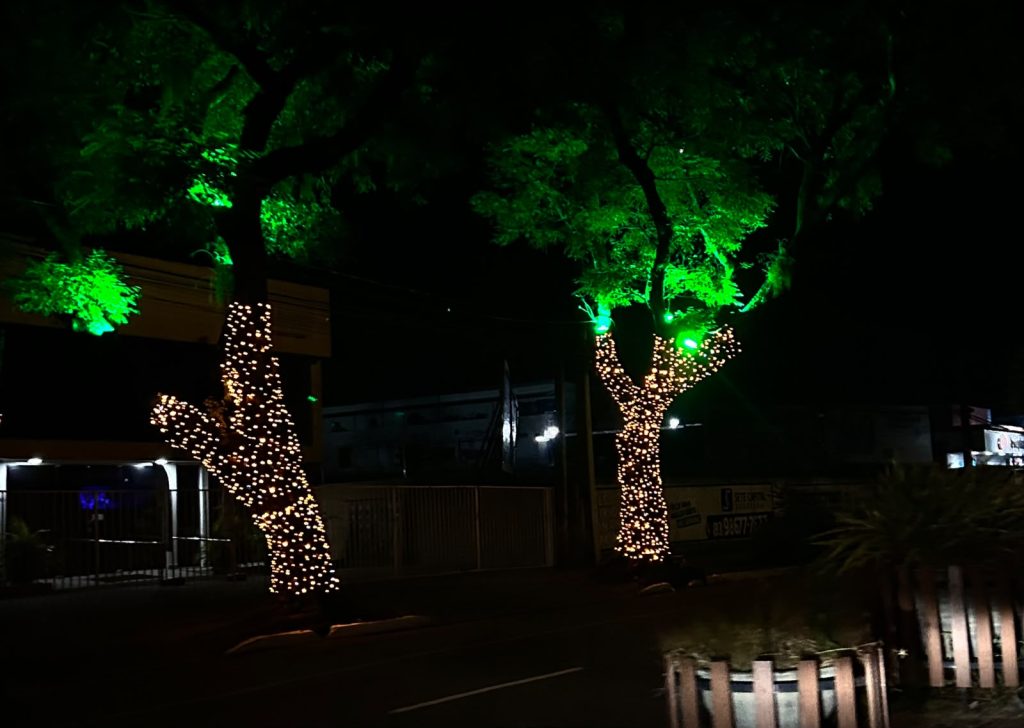 joao-pessoa-comeca-a-receber-decoracao-natalina-nas-ruas-da-cidade