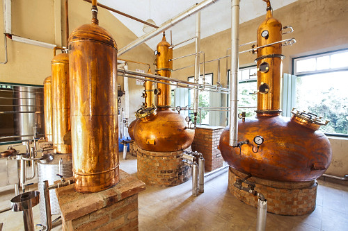 inovacao-redefine-a-producao-de-cachaca-no-brasil