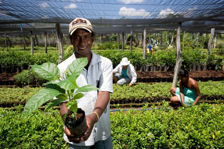 contrata+brasil:-orgaos-da-pb-contratam-mais-de-r$-185-mil-de-microempreendedores-e-agricultores-familiares
